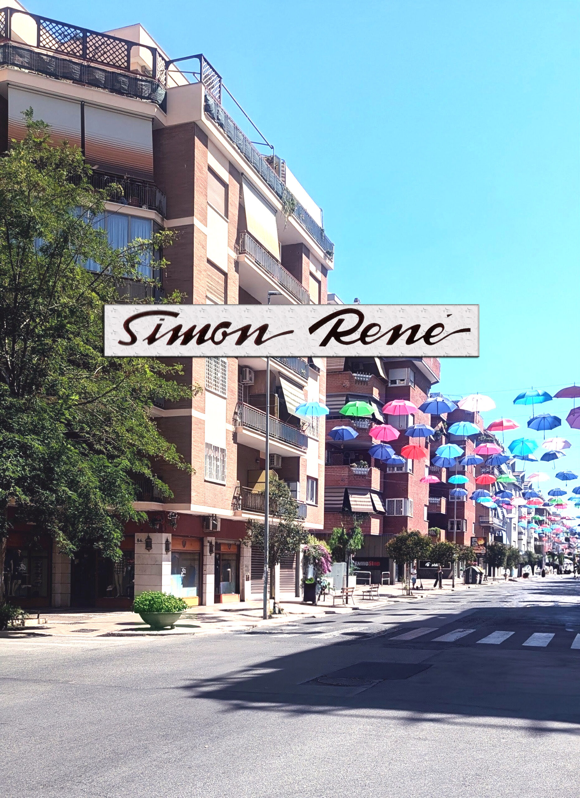 simon rene atelier